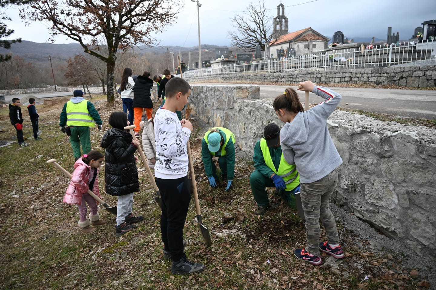 ДАН Akcija pošumljavanja sadnica crnog bora u dvorištu OŠ Boško