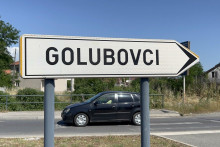 &lt;p&gt;Golubovci&lt;/p&gt;
