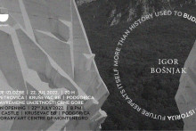 &lt;p&gt;Електорнска позивница за Бошњакову изложбу&lt;/p&gt;
