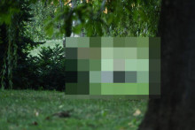 &lt;p&gt;U zagrebačkom parku u centru silovana djevojčica&lt;/p&gt;
