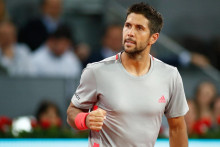 <p>Fernando Verdasko</p>