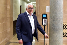 <p>Andrija Mandic</p>