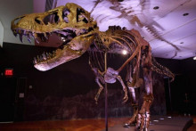 &lt;p&gt;U Švajcarskoj na aukciji skelet tiranosaurusa reksa&lt;/p&gt;
