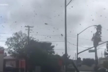 &lt;p&gt;Tornado u Los Anđelesu&lt;/p&gt;
