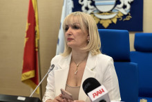 &lt;p&gt;Jelena Borovinic Bojovic&lt;/p&gt;