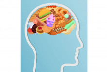 &lt;p&gt;Hrana stvara ”maglu u mozgu”&lt;/p&gt;