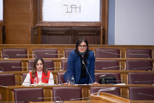 &lt;p&gt;Naida Nišić u Skupštini&lt;/p&gt;