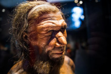 &lt;p&gt;Neandertalci su bili veoma inteligentni&lt;/p&gt;