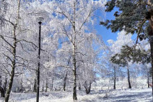 &lt;p&gt;Ilustracija&lt;br&gt;
snijeg, zima, Durmitor, Žabljak&lt;/p&gt;