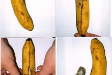 &lt;p&gt;Дрога и у бананама&lt;/p&gt;