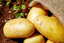 &lt;p&gt;Prvi put u istoriji obilježava se Svjetski dan krompira&lt;/p&gt;