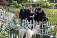 &lt;p&gt;Putin na poklon dobio pse&lt;/p&gt;