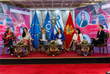 &lt;p&gt;Konferencija Doprinosi crnogorskih žena u dijaspori&lt;/p&gt;