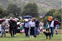 &lt;p&gt;Aktivisti Stranke evropskog progresa obišli sklonište za napuštene životinje&lt;/p&gt;