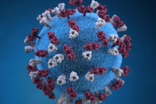 &lt;p&gt;Korona virus&lt;/p&gt;