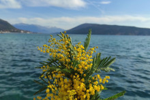 &lt;p&gt;herceg novi&lt;/p&gt;