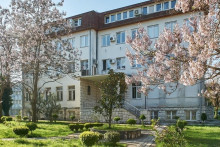 &lt;p&gt;Istorijski institut&lt;/p&gt;