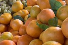 &lt;p&gt;mandarine&lt;/p&gt;