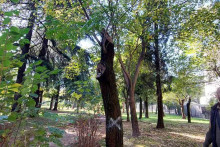 &lt;p&gt;Karađorđev park&lt;/p&gt;