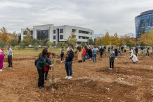 &lt;p&gt;Šezdeset studenata zasadilo svoje stablo znanja u studentskom parku Univerziteta CG&lt;/p&gt;