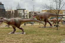 &lt;p&gt;Dinosaurusi u prirodnoj veličini&lt;/p&gt;