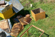 &lt;p&gt;Uništene košnice&lt;/p&gt;