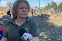 &lt;p&gt;Jasna Gajević&lt;/p&gt;