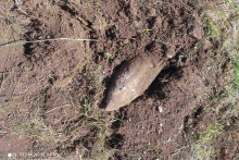 &lt;p&gt;Pronađena bomba&lt;/p&gt;