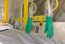 &lt;p&gt;Ebola u Češkoj&lt;/p&gt;