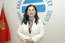 &lt;p&gt;profesorica Jasmina Ćetković&lt;/p&gt;