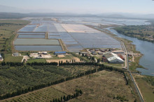 &lt;p&gt;SOLANA&lt;/p&gt;