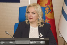 &lt;p&gt;Jelena Borovinić Bojović&lt;/p&gt;